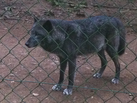 Tierpark